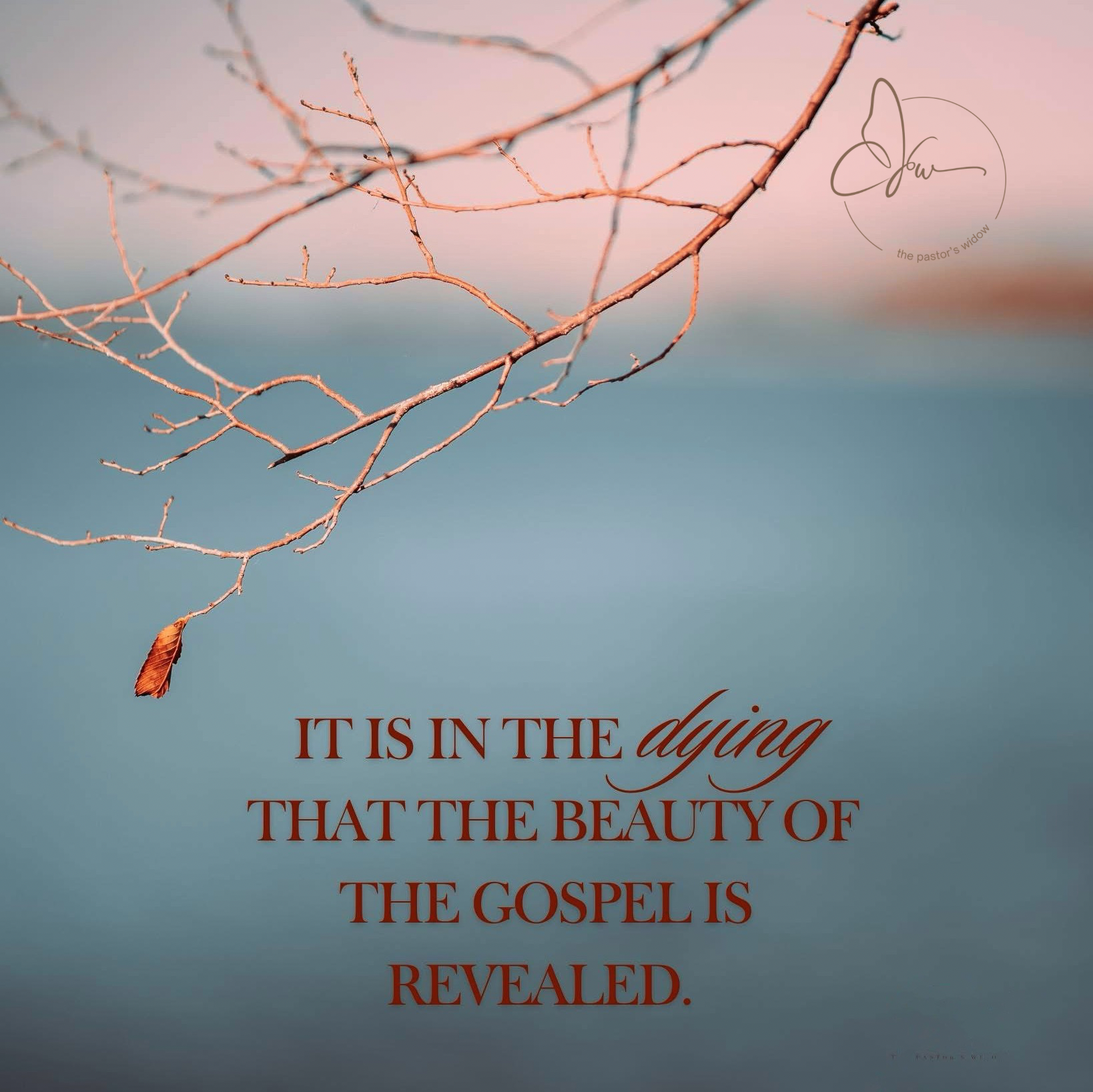 Death Gives Way to Life